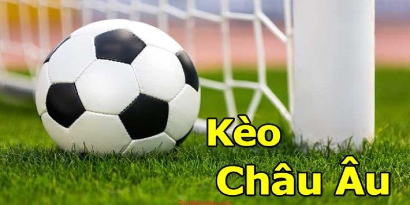 Kèo châu Âu là gì? Kinh nghiệm đọc kèo châu Âu chuẩn xác tại SV66 | Châu âu, Bóng đá châu âu, Bóng đá